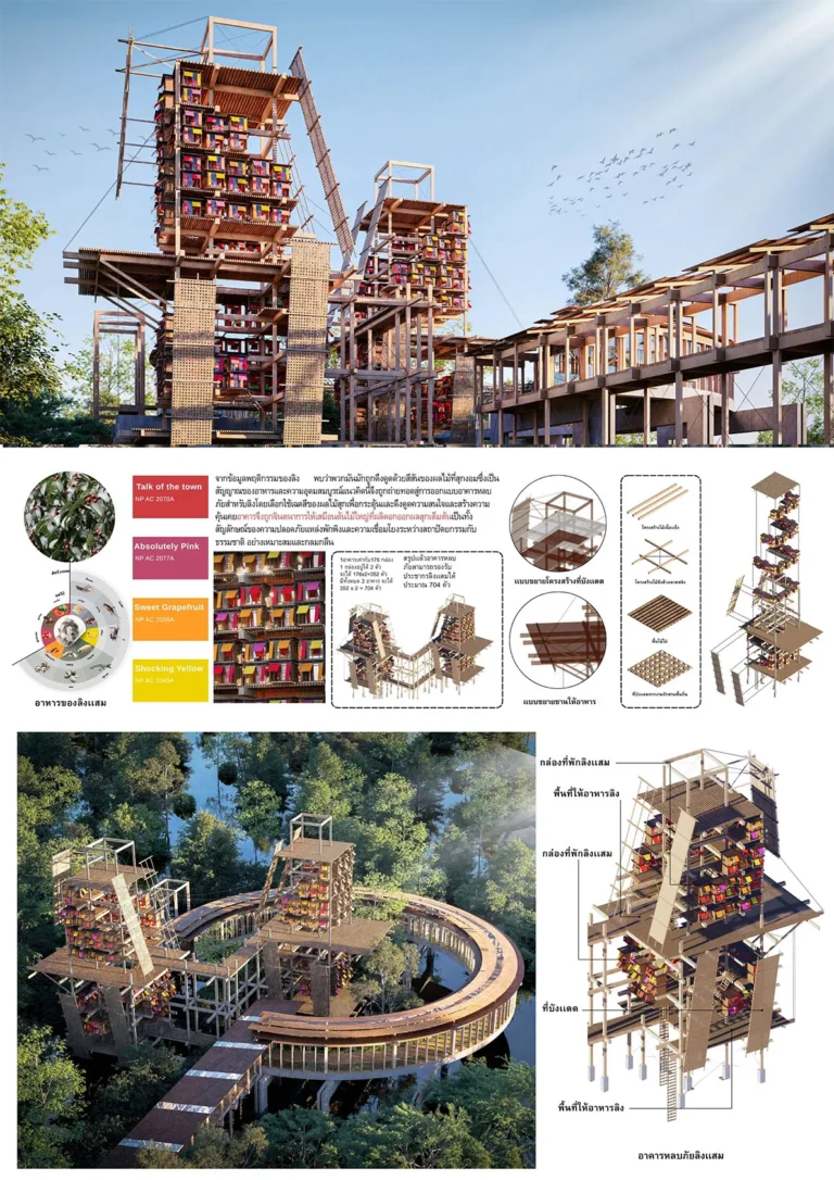 winner ayda 2025 architect-2